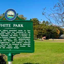 White Park - Concord