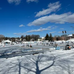 White Park - Concord