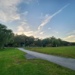 White Park - Concord