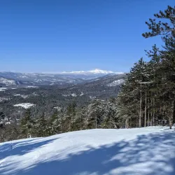 Cranmore Mountain Resort - Conway