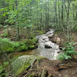Diana's Baths - Conway