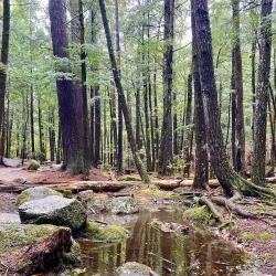 Diana's Baths - Conway