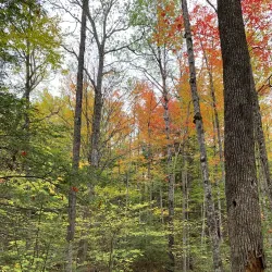 Diana's Baths - Conway