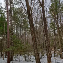 Diana's Baths - Conway