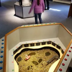 Mount Washington Observatory Weather Discovery Center - Conway