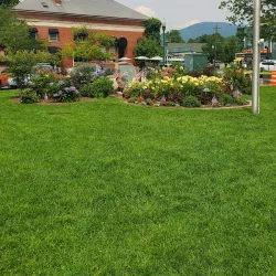 Schouler Park - Conway