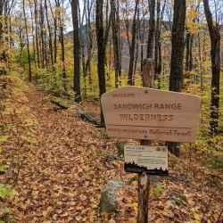 White Mountain National Forest - Conway