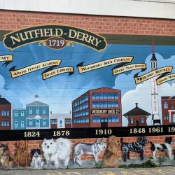 Derry Farmers Market - Derry