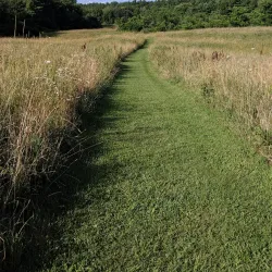 Frost Farm Conservation Area - Derry