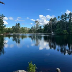 Harold Parker State Forest - Derry
