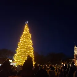 Dartmouth Green - Hanover