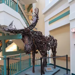 Dartmouth Hitchcock Medical Center - Hanover