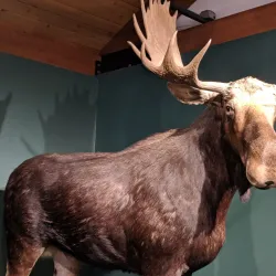 Montshire Museum of Science - Hanover