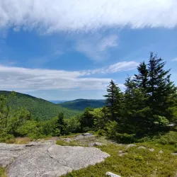 Piper Mountain Trail - Holderness