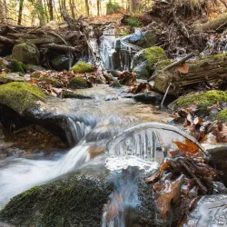Piper Mountain Trail - Holderness