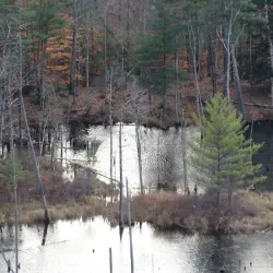 Piper Mountain Trail - Holderness