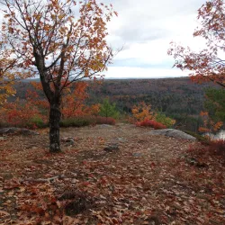 Piper Mountain Trail - Holderness
