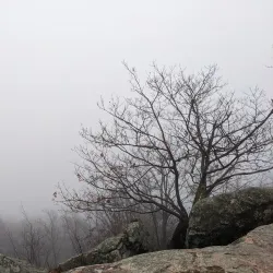 Rattlesnake Mountain Trail - Holderness