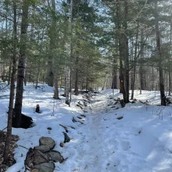 Rattlesnake Mountain Trail - Holderness