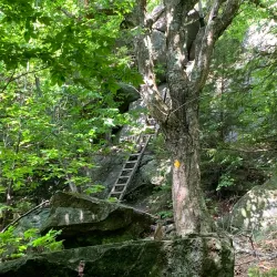 Rattlesnake Mountain Trail - Holderness