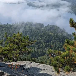 Rattlesnake Mountain Trail - Holderness
