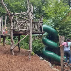 Squam Lakes Natural Science Center - Holderness