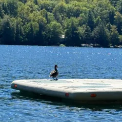 The Holderness Inn - Holderness