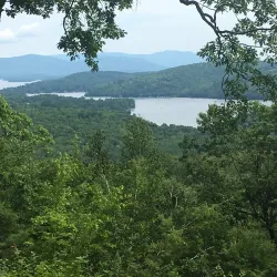 Whitten Woods Conservation Area - Holderness