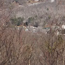 Whitten Woods Conservation Area - Holderness