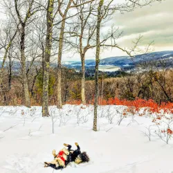 Whitten Woods Conservation Area - Holderness