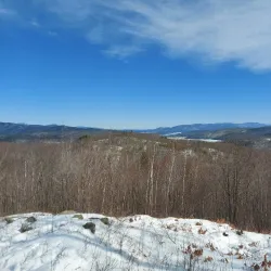 Whitten Woods Conservation Area - Holderness