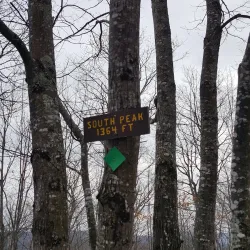 Whitten Woods Conservation Area - Holderness