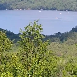 Whitten Woods Conservation Area - Holderness