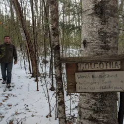 Whitten Woods Conservation Area - Holderness