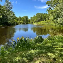 Ashuelot River Park - Keene
