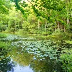 Ashuelot River Park - Keene