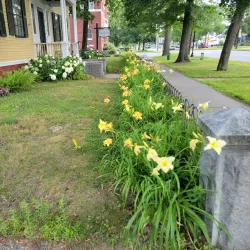 Horatio Colony Museum - Keene