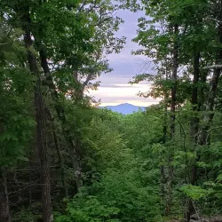 Horatio Colony Nature Preserve - Keene