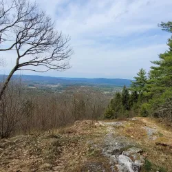 Horatio Colony Nature Preserve - Keene