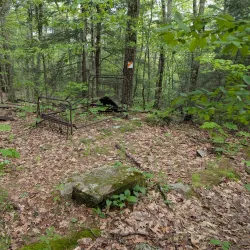 Horatio Colony Nature Preserve - Keene