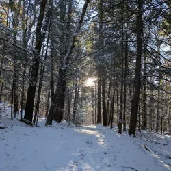 Horatio Colony Nature Preserve - Keene