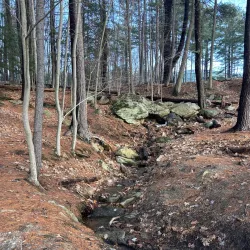 Robin Hood Park - Keene