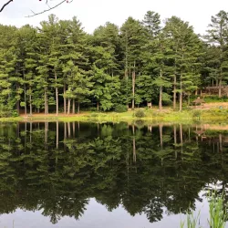 Robin Hood Park - Keene