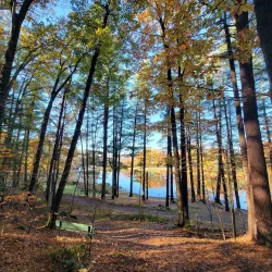 Robin Hood Park - Keene