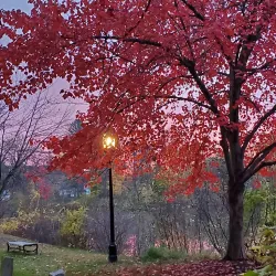 Thorne-Sagendorph Art Gallery - Keene