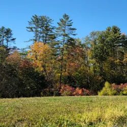 Connecticut River Greenway - Lebanon