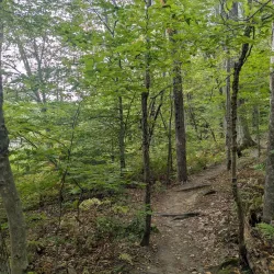 Connecticut River Greenway - Lebanon
