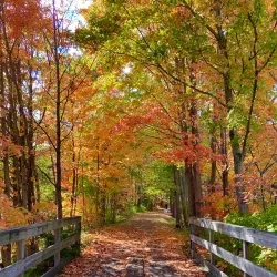 Mascoma Lake - Lebanon