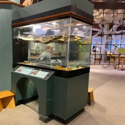 Montshire Museum of Science - Lebanon