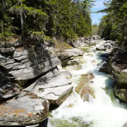 Ammonoosuc River - Littleton